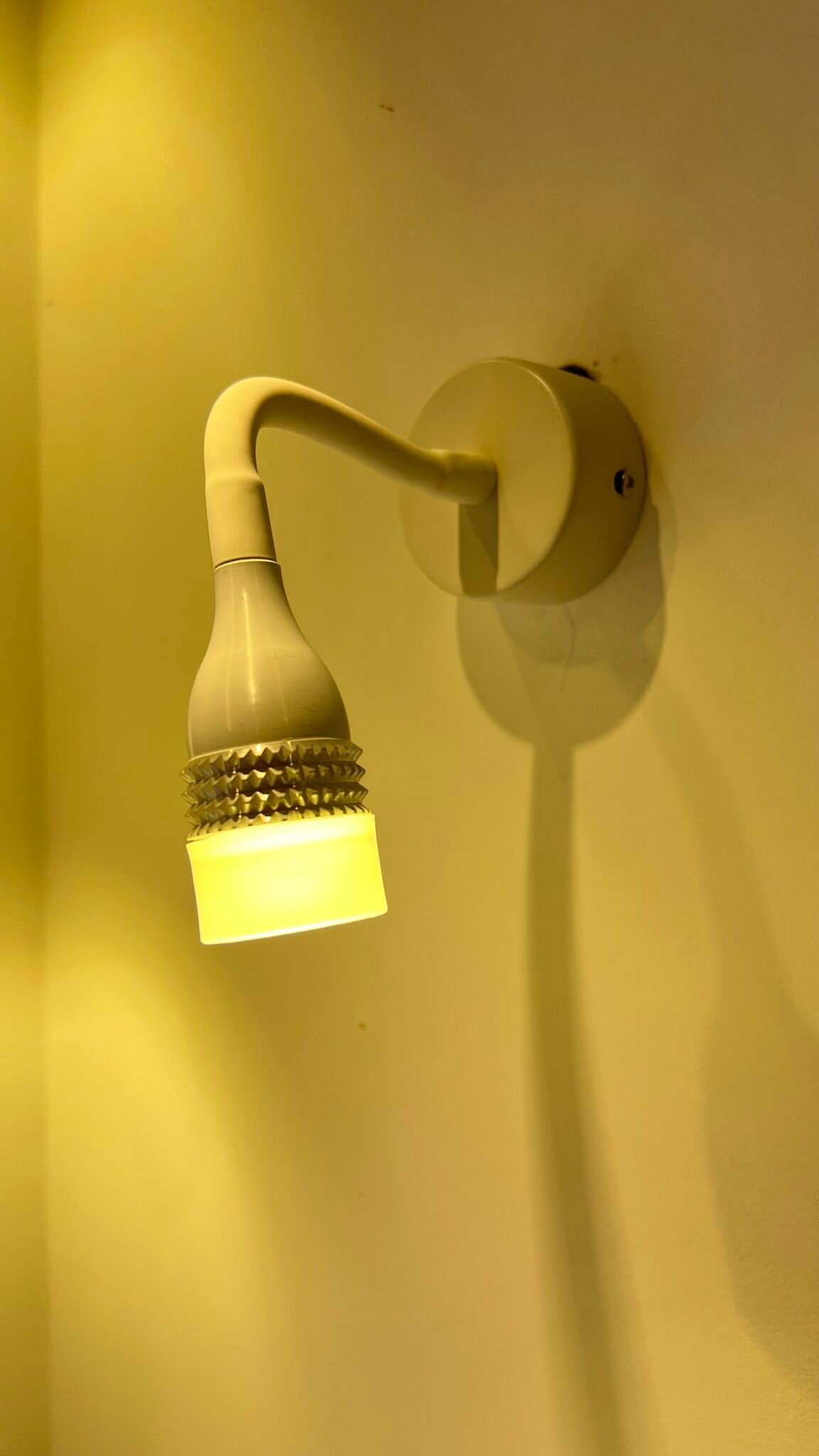 Adjustable LED Picture Lamp