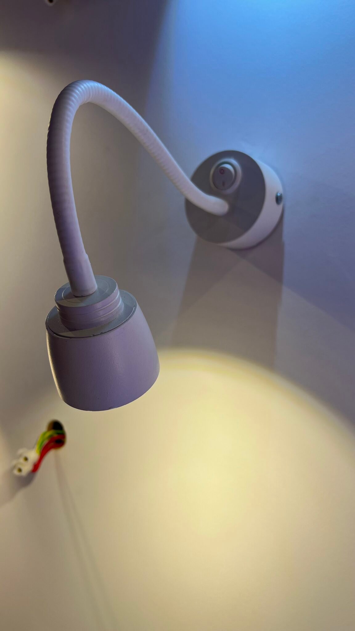 Adjustable LED Picture Lamp