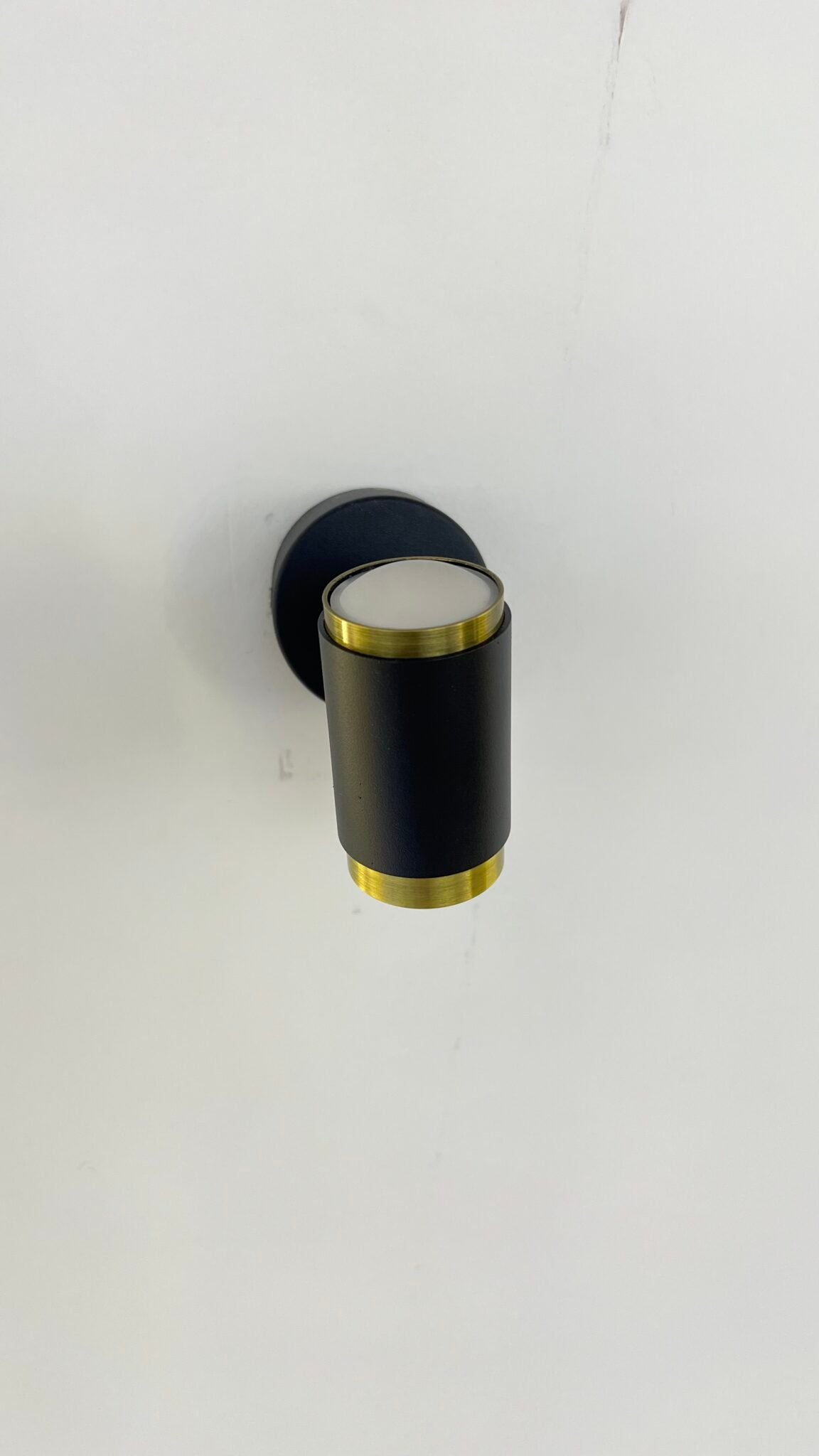 Modern Wall LED Light with Brass Accents