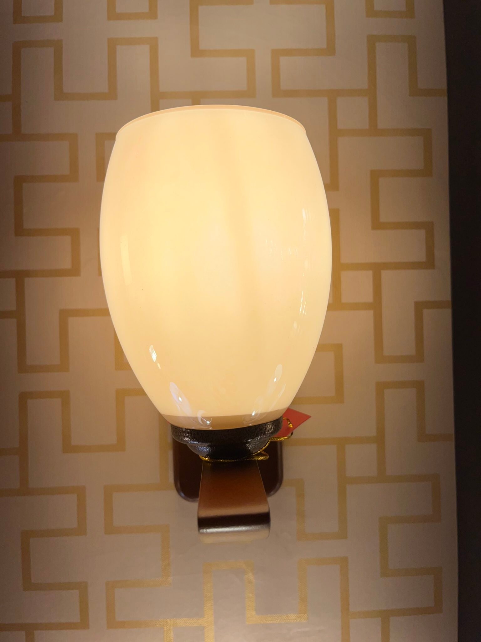 Sleek Wall Sconce